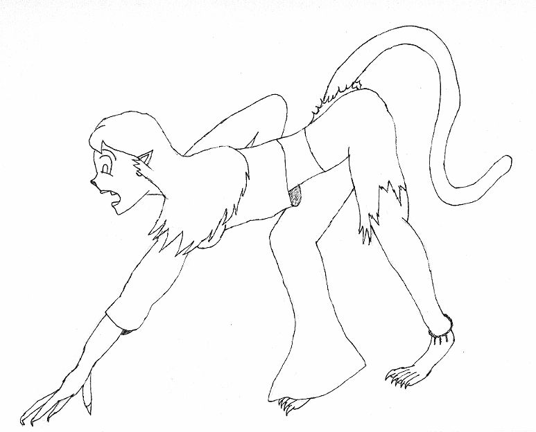 773x624 Cat Transformation Drawing 1 By Werekatt