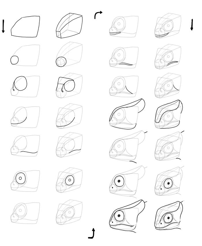 700x852 How To Draw Lizards (Aka Real Life Dragons)