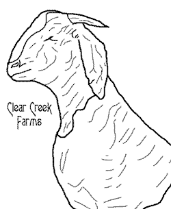 250x305 Transparent Goat Drawings