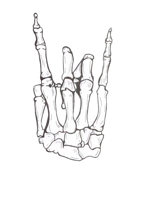 500x688 Drawing Cool Rock Awesome Hand Sketch Skeleton Bones Hang Loose