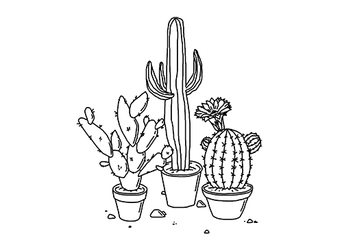 499x363 Gif Pretty Drawing Cute Plants Cactus Transparent Cacti Succulents