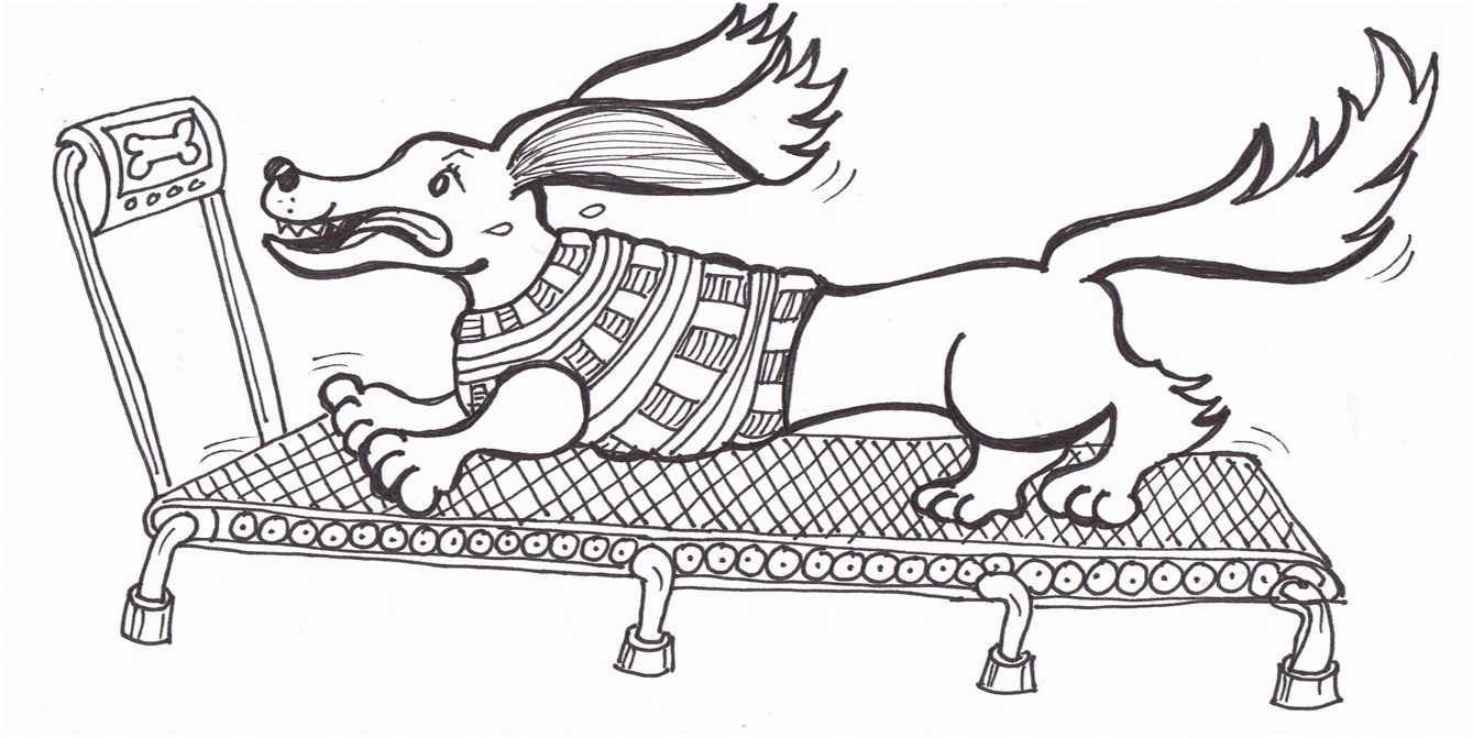 1339x671 Louann Mattes Brown June 2015