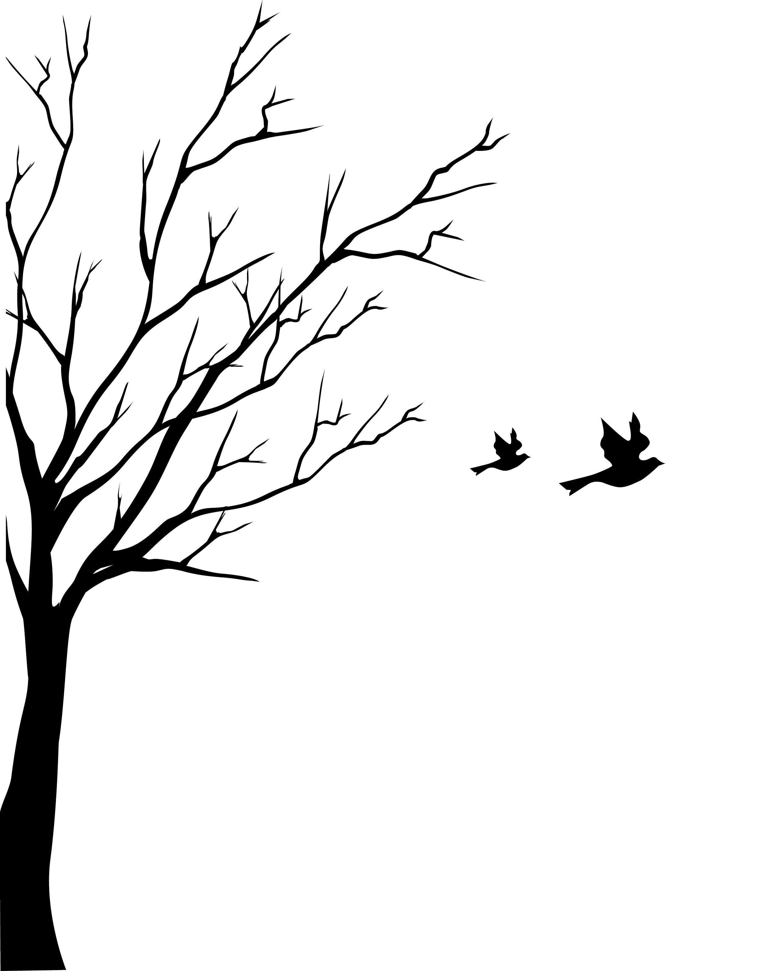 2479x3179 Tree Turning Into Birds Drawing Photos Good Pix Gallery Plates