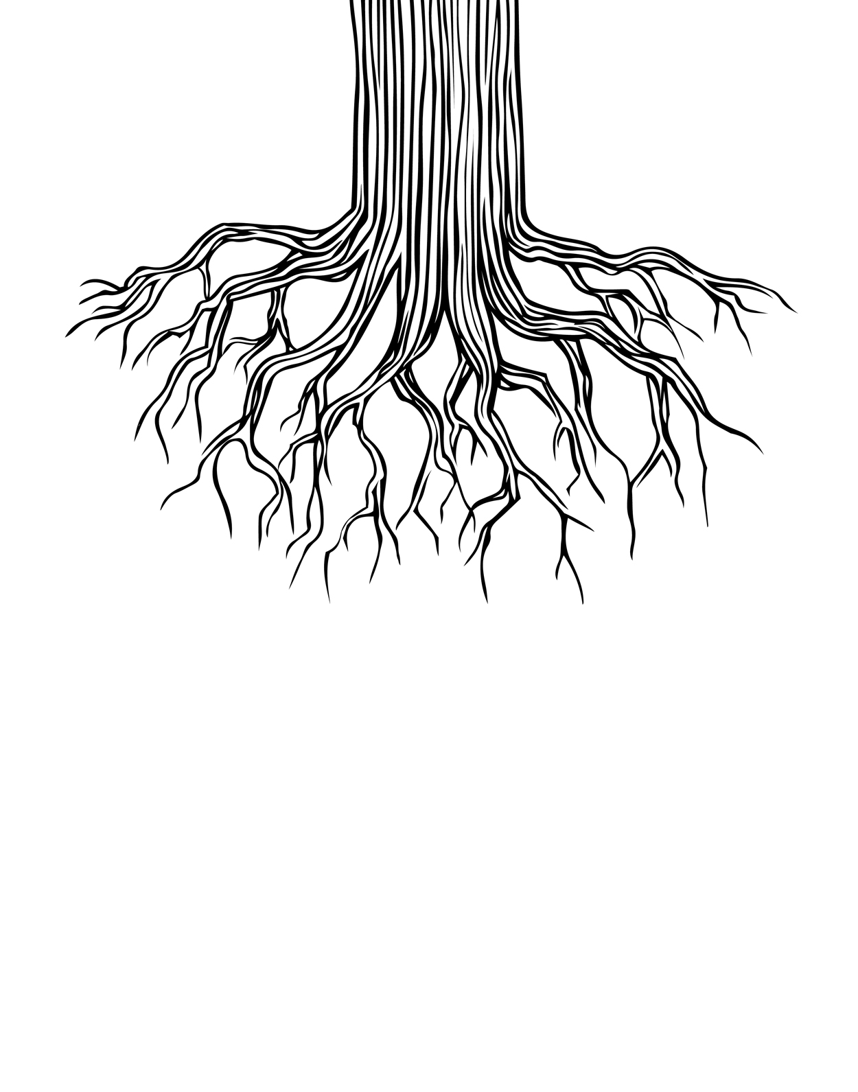 1250x1591 Tree Roots Drawing By Andrew Brennan