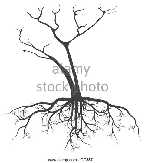 479x540 Black Tree Silhouette Illustration Roots Stock Photos Amp Black Tree