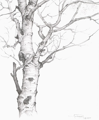 332x400 Tree Drawing Art Meaning