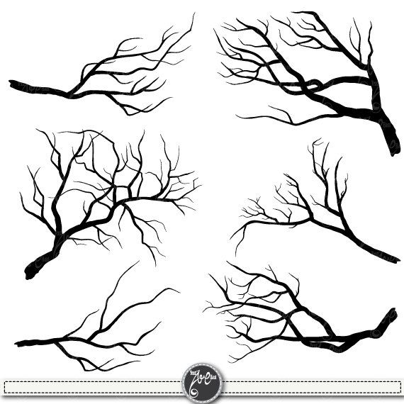 570x570 Tree Branch Drawing Art Drawings, Paintings