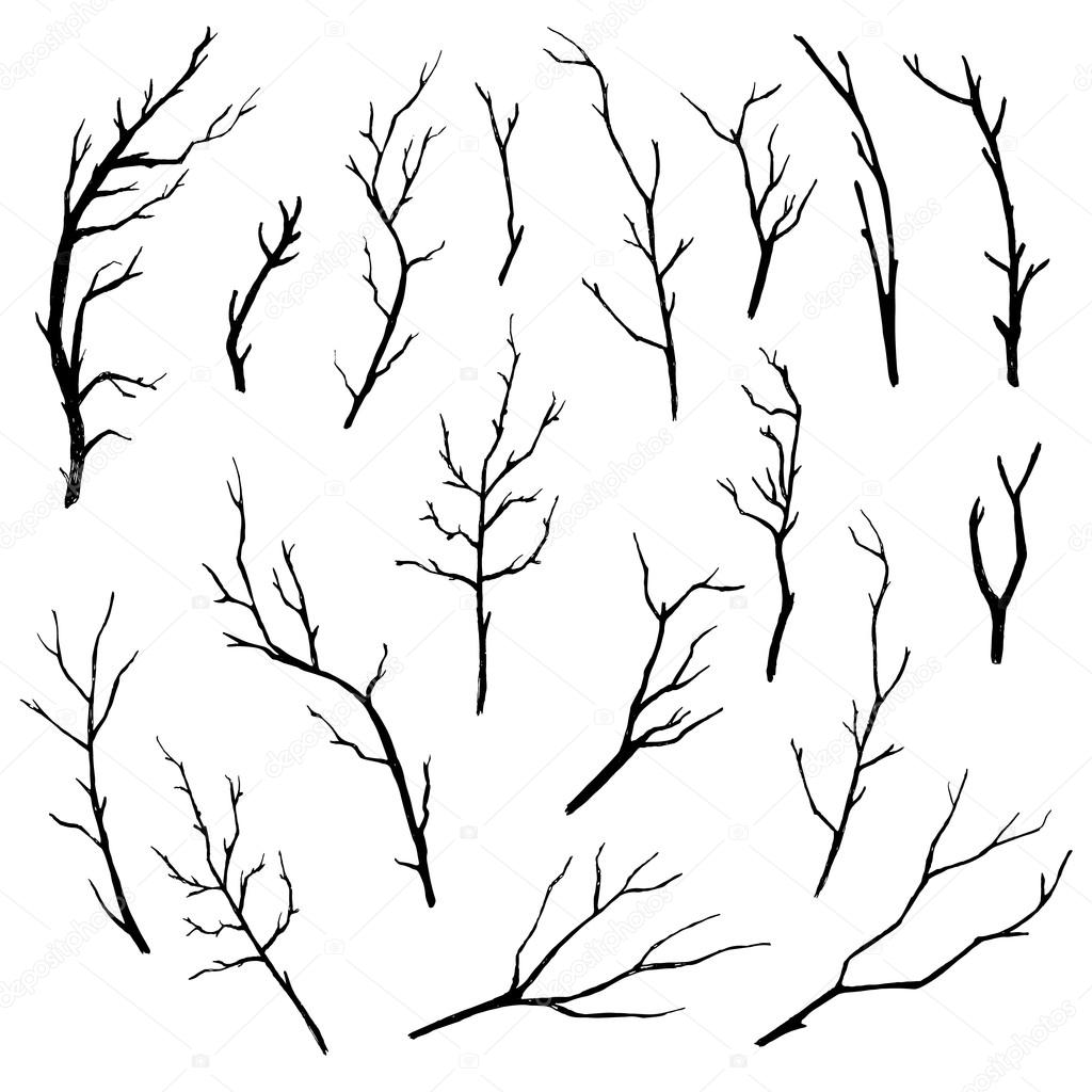 1024x1024 Hand Drawn Tree Branches Collection. Vector Illustration. Stock
