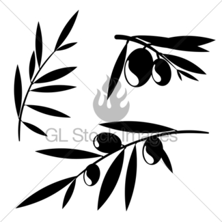 325x325 Sketch Olive Tree Branches Gl Stock Images