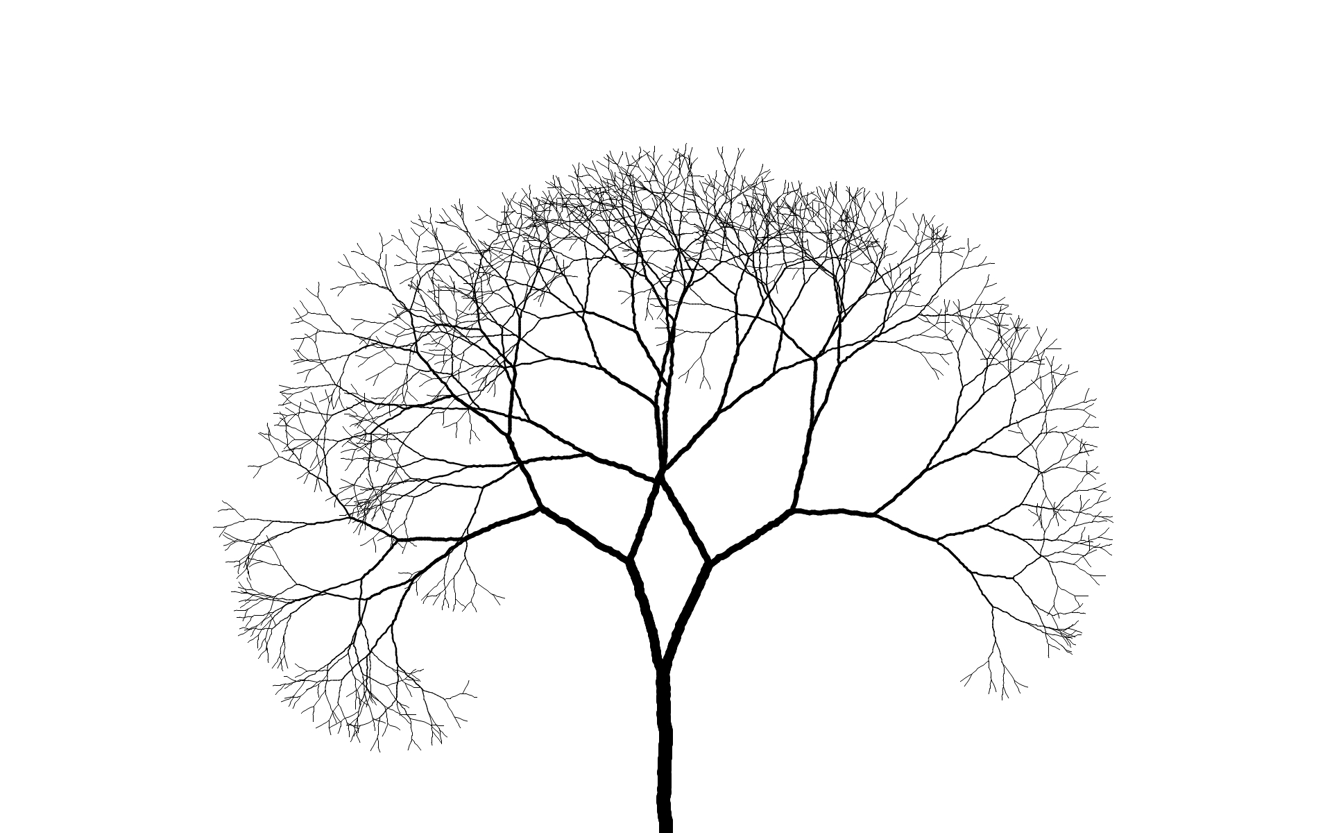 1920x1200 Tree Branch Drawing How To Draw Branches And Cute Birds