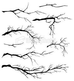 236x259 Tree Branch Drawing Study Printables Drawings