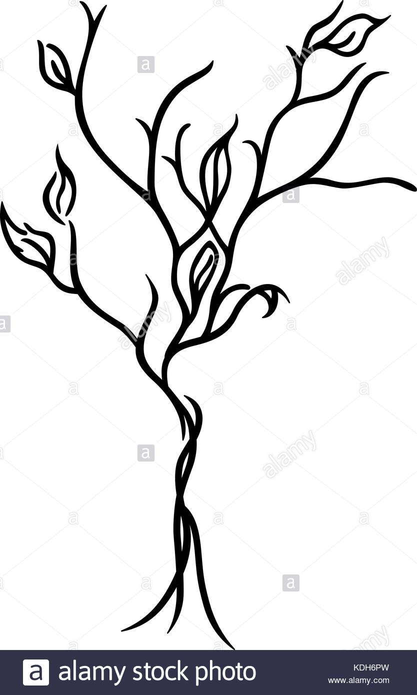 834x1390 Tree Line Drawing Stock Photos Amp Tree Line Drawing Stock Images