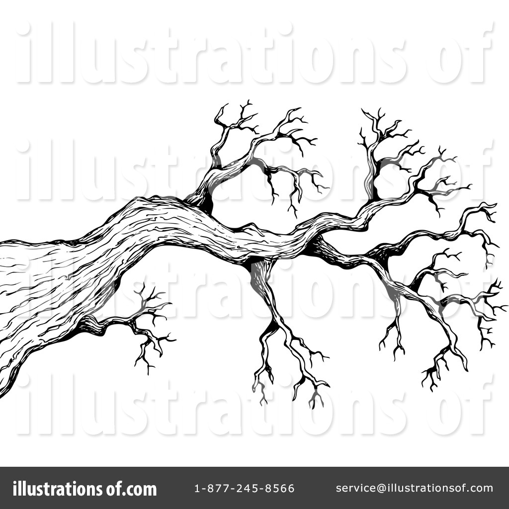 1024x1024 Black And White Tree Branch Clipart