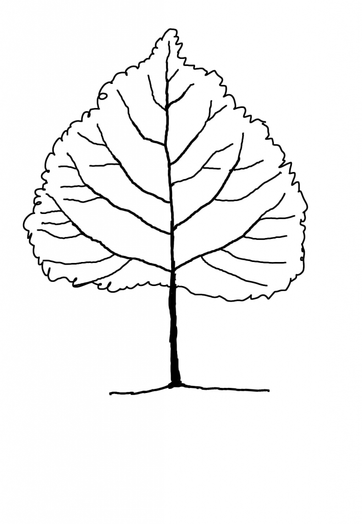 707x1024 Drawings Of Trees With Leaves Draw With Rich Fun Step Step Cartoon