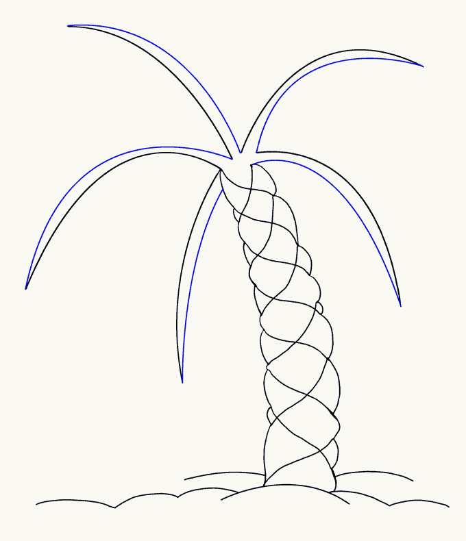 680x790 How To Draw A Palm Tree Easy Drawing Guides