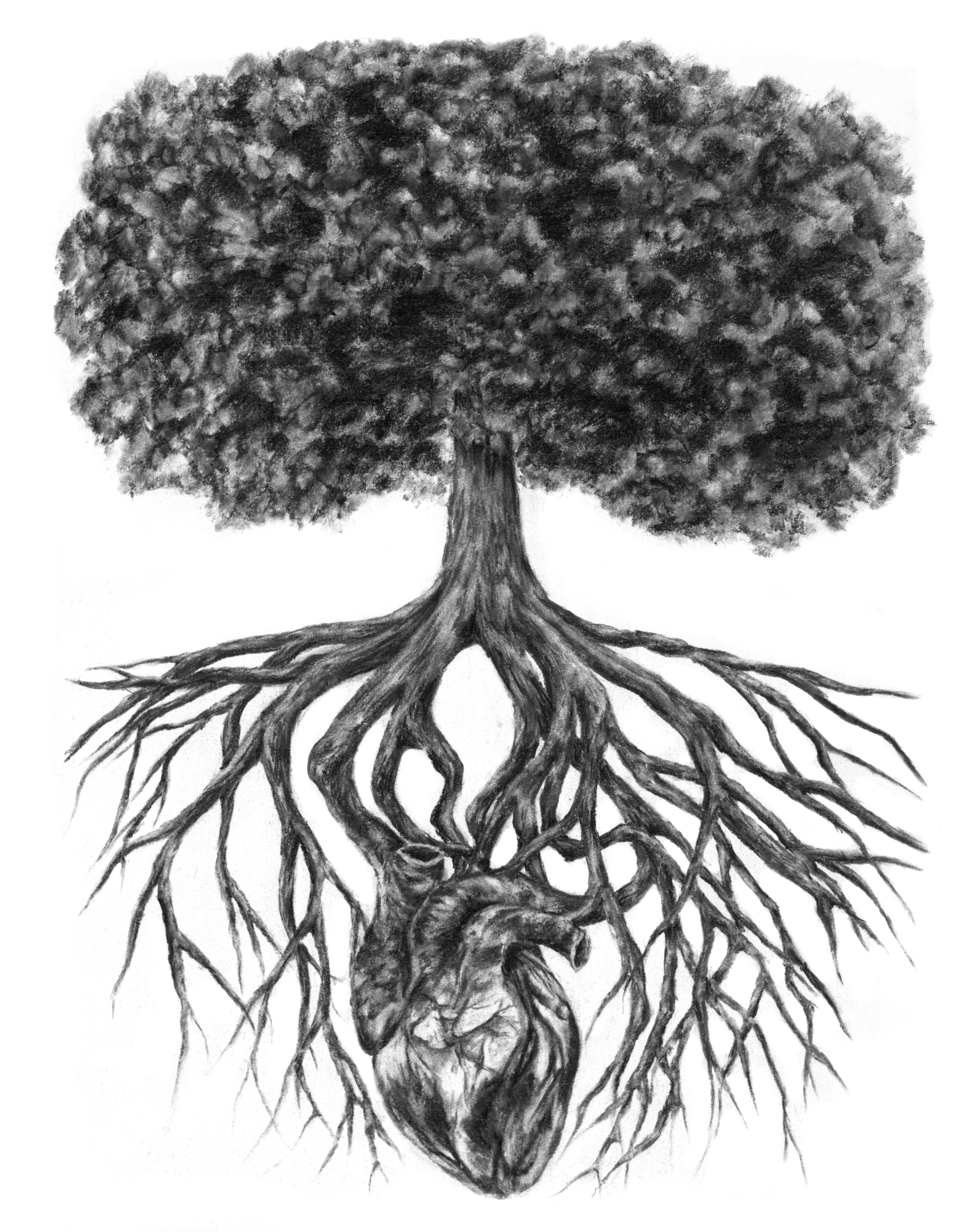 3650x4650 Beauty For Ashes. This Piece Is A Charcoal Drawing. It Is Inspired