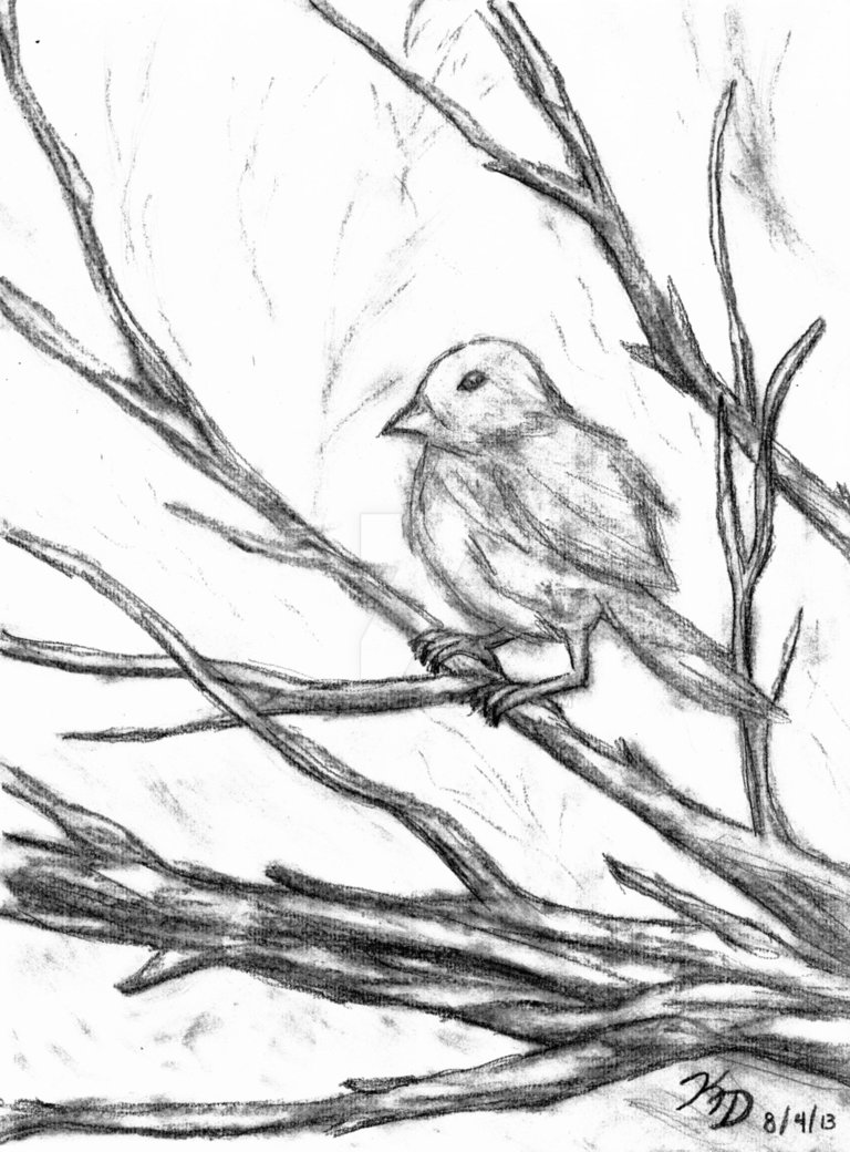768x1040 Fluffy Little Bird In Tree (Charcoal) By Mangakeri