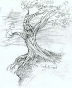 236x287 Gothic Tree Drawing Art Prints And Posters By John Leyton
