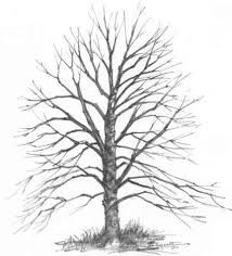 214x236 29 Best Projects To Try Images On Beautiful Drawings