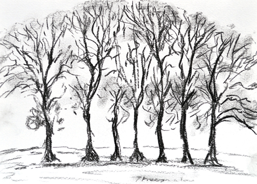 504x361 Regular Updated Sketches And Drawings By Keith Melling