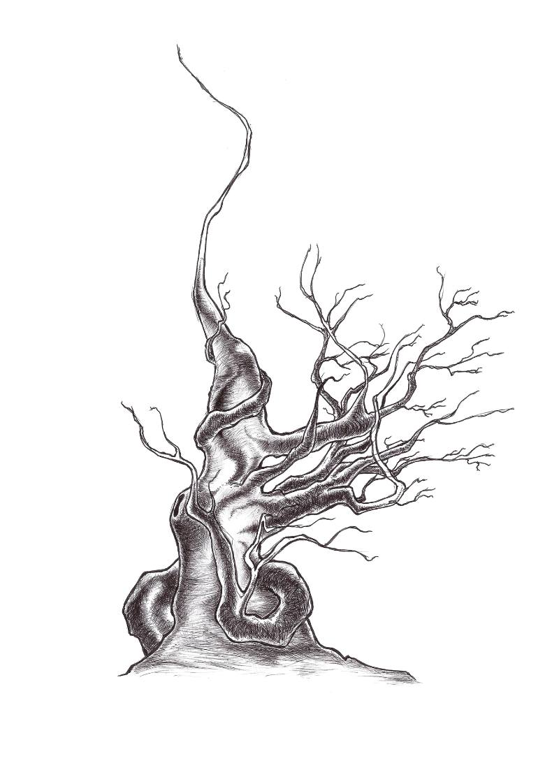 770x1089 Saatchi Art Trees Without Leaves 2 Drawing By Solutin One