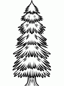 223x302 How To Draw How To Draw A Spruce Tree