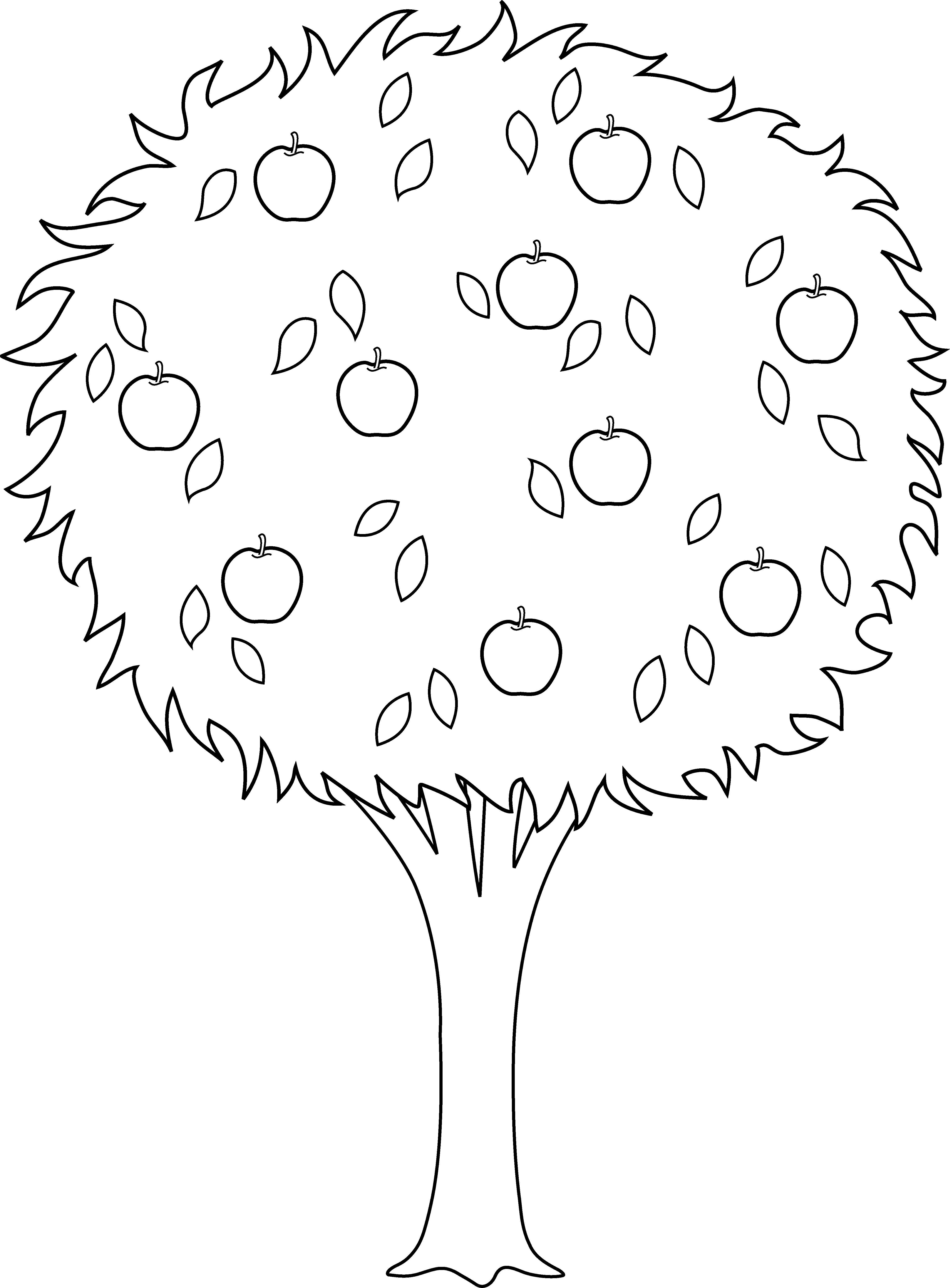 4538x6155 Apple Tree