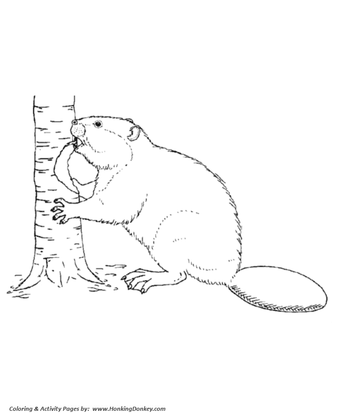 670x820 Wild Animal Coloring Pages Beaver Cutting Down A Tree Coloring