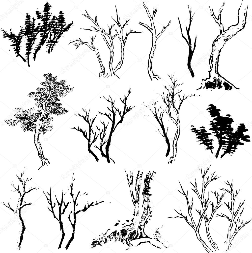 1017x1024 Tree Drawing Design Stock Vector Pauljune
