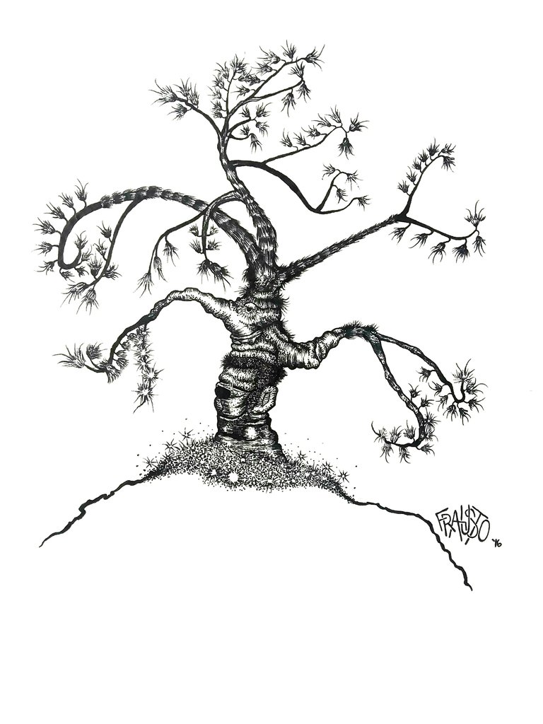 768x1024 Pen And Ink Illustrations Rick Frausto Fine Art