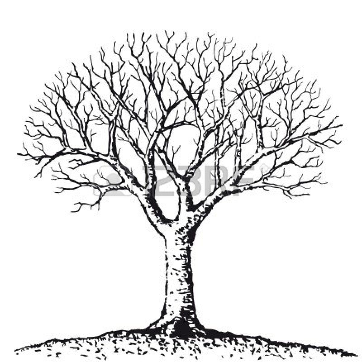 1200x1200 Simple Drawing Of A Tree