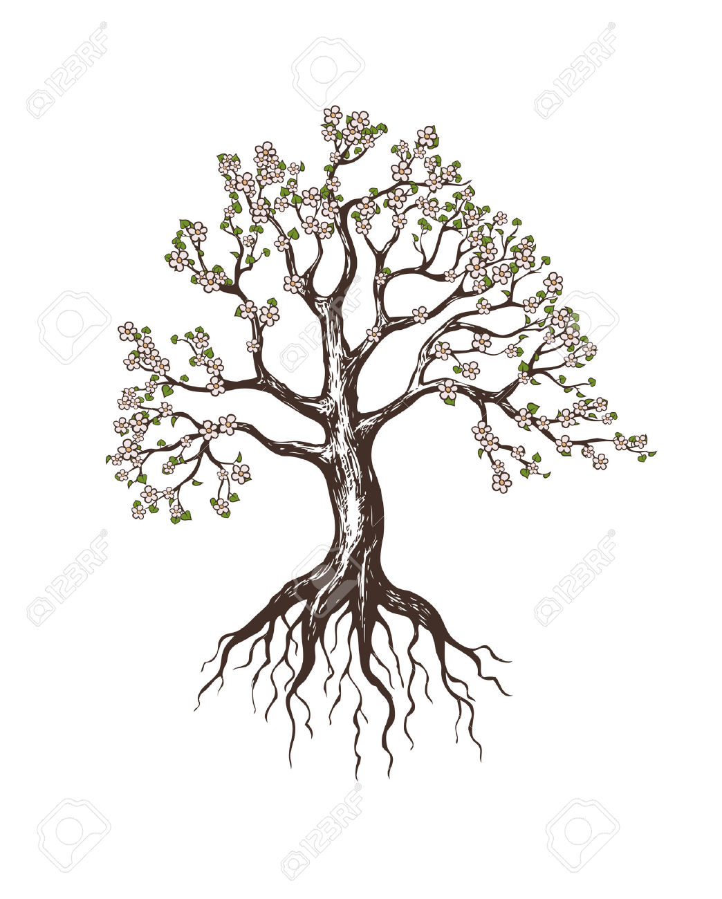 1044x1300 Tree Drawing With Roots How To Draw Tree Roots Roadrunnersae