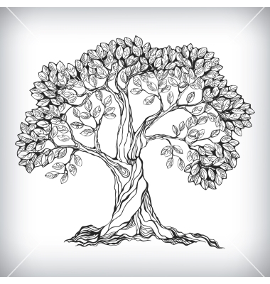 380x400 Hand Drawn Tree Symbol Vector