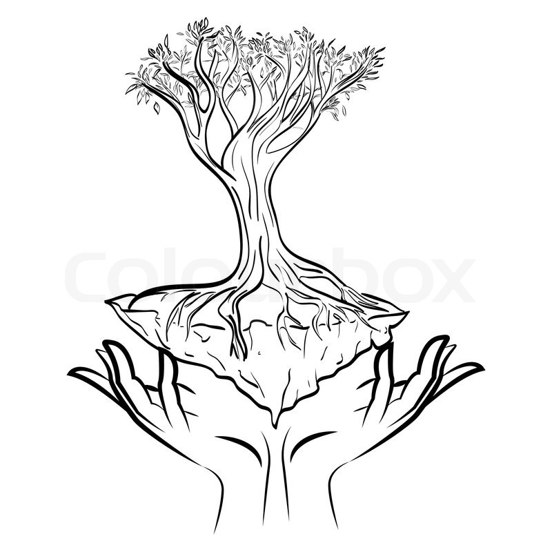 800x800 Abstract Illustration With Human Hands Holding A Tree Stock