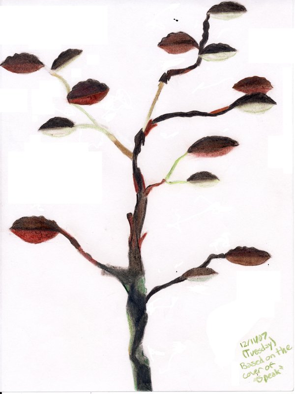 600x800 Tree From Cover