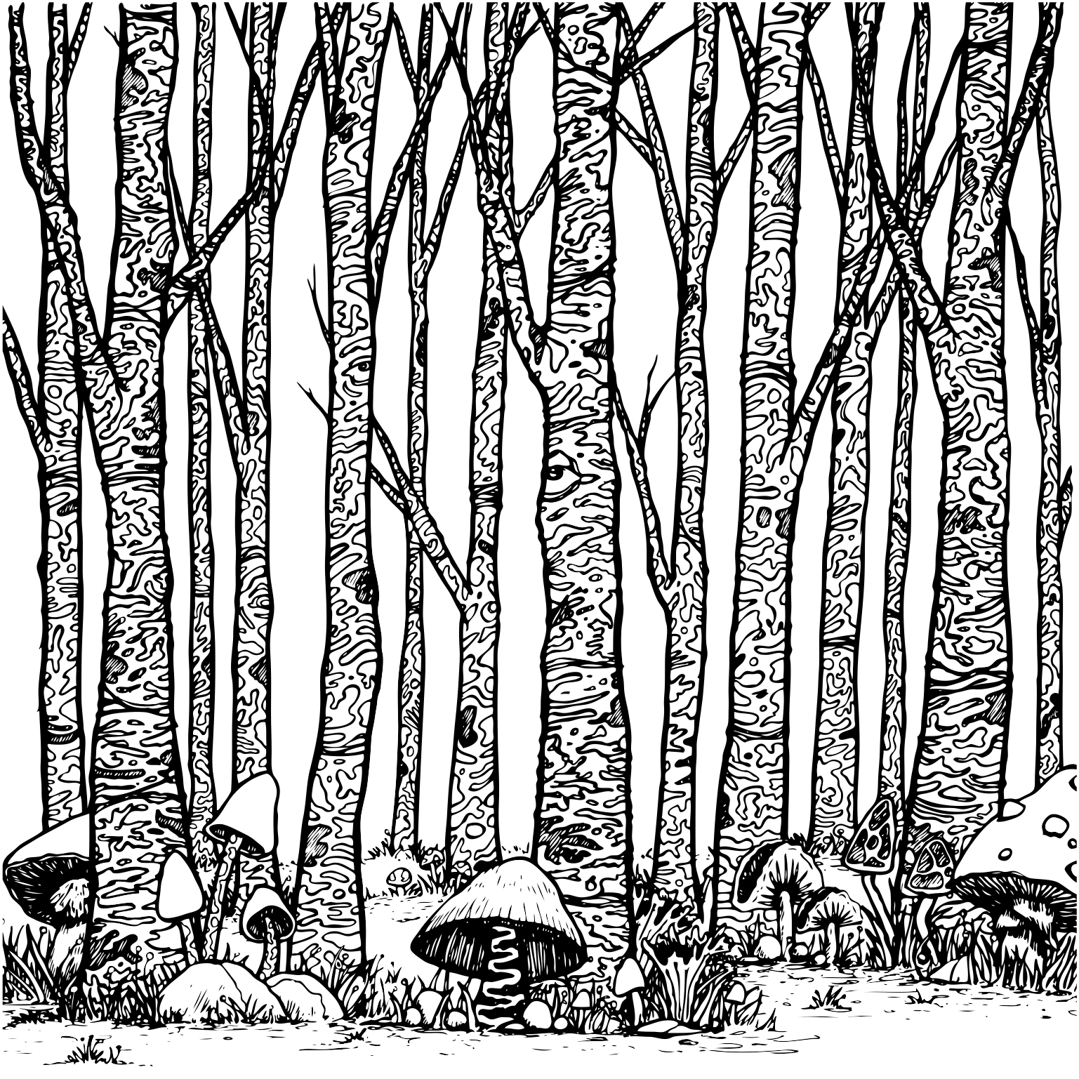 1537x1537 Where To Buy