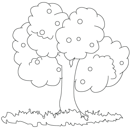 420x415 Tree Drawing To Color