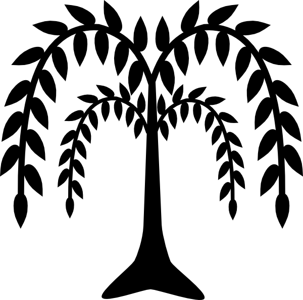 600x595 Clipart Tree Willow