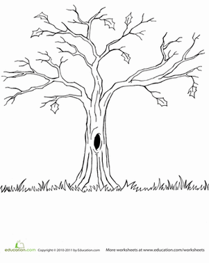 301x378 Drawing Of Fall Trees Drawing Of Fall Trees