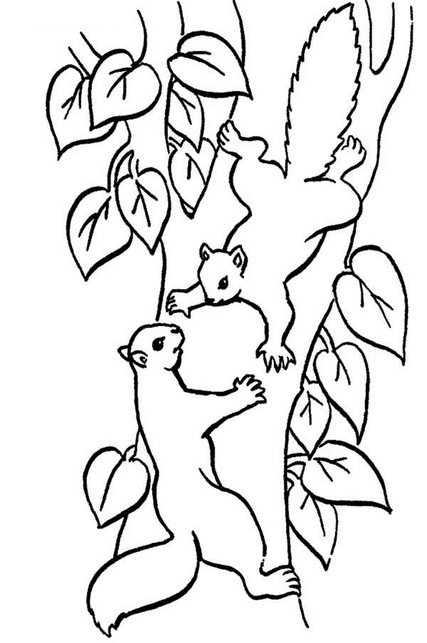 600x903 Drawn Squirrel Tree Drawing