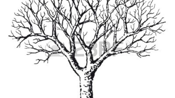 570x320 Black And White Tree Drawing Simple Black And White Tree Drawing