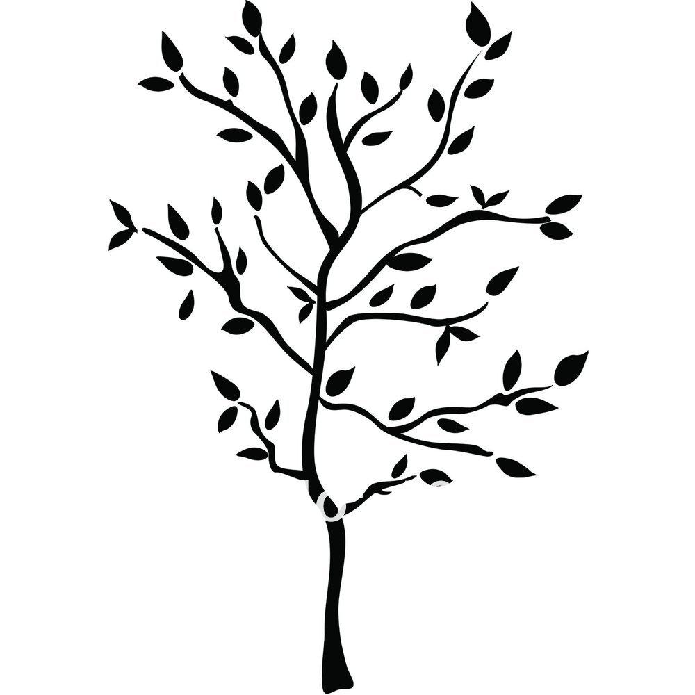 1000x1000 Cartoon Tree Drawings Clipart Best Dtrlxalt Adult