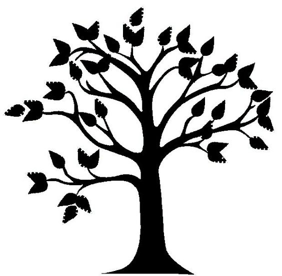 564x553 Tree Drawing Cliparts 269252