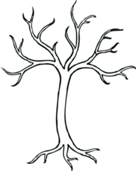 480x600 Leafless Tree Drawings Clip Art Art Tree