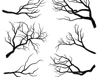 340x270 Birch Tree Clip Art, Winter Forest, Tree Branch Clipart Outlines