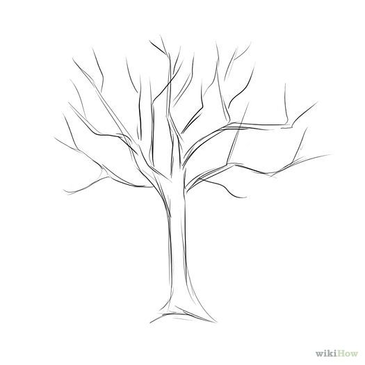525x525 Easy Tree Drawings Home Designs Idea