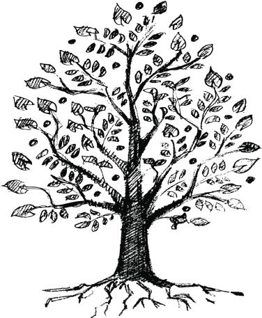 376x457 Easy Tree Drawings Easy Tree Drawings 376 X 457 Home Designs Idea