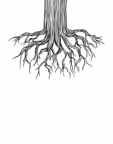 377x480 Small Tree Drawing Easy With Roots