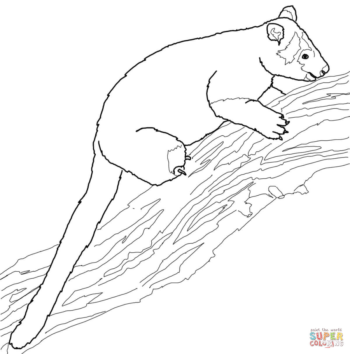 1200x1216 Tree Kangaroo Coloring Page Free Printable Coloring Pages