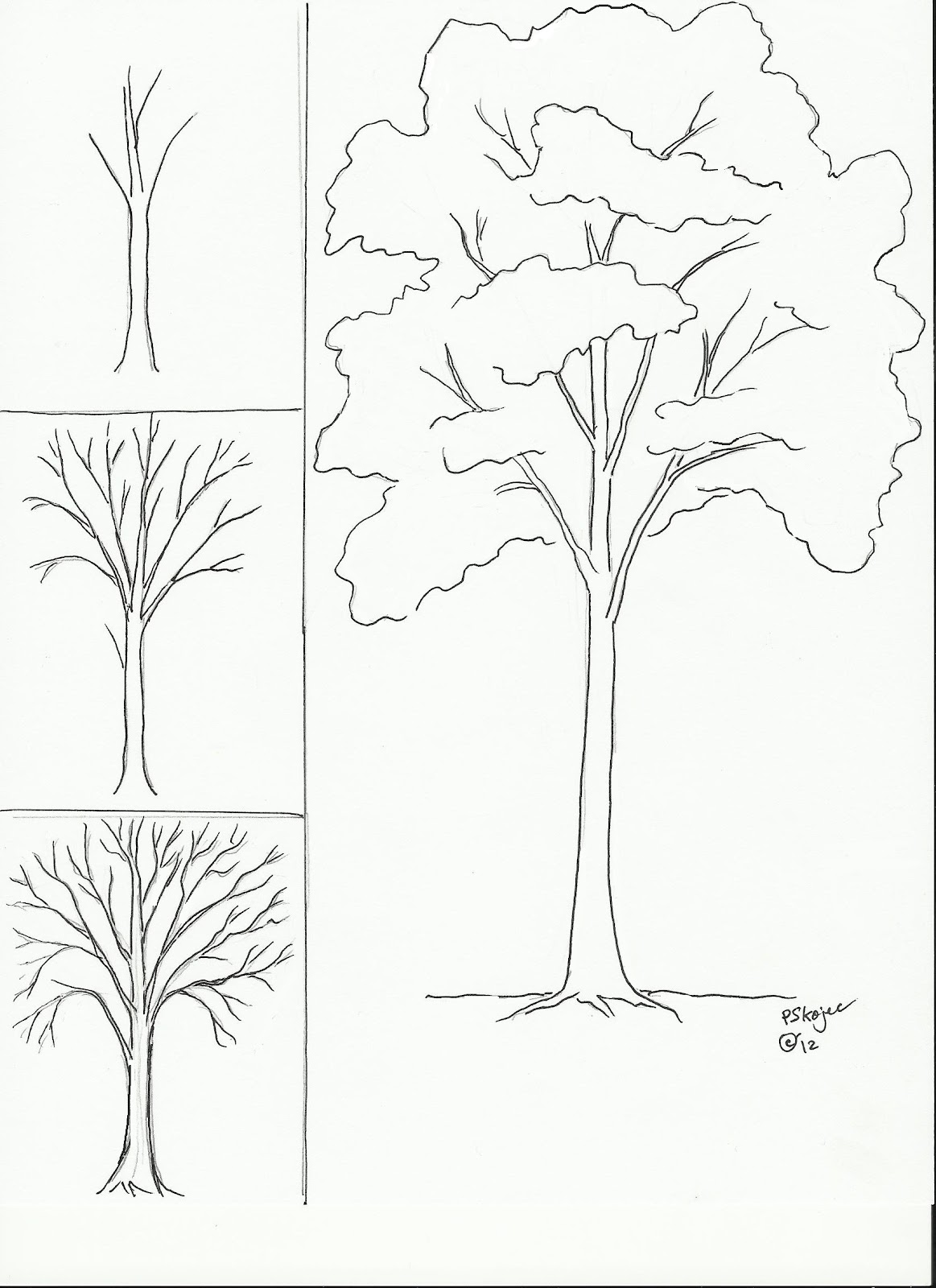 Tree Drawing For Kid